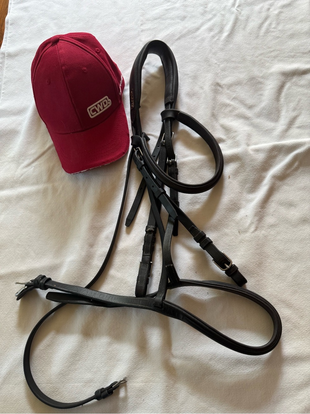 CWD  used  Leather Bridle with CWD Leather reins.